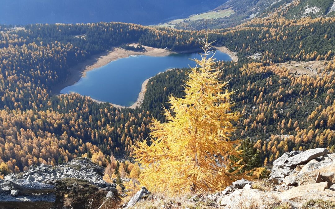 Autunno: tempo di foliage